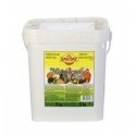 Piments en saumure 12x720ml