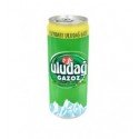 ULUDAG Frutti Pec'he Limonade 24x0,2l